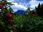Mount Kinabalu