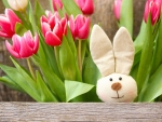 Spring Easter Bunny