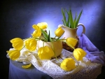 Yellow tulips