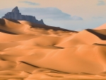 Wonderful Desert
