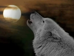 Howling Wolf