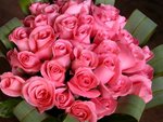 A Dozen Pink Roses