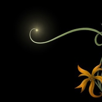 Lightflower