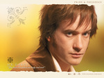 Mr Darcy