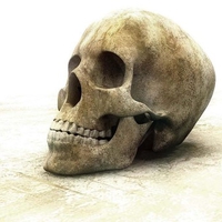 Skull