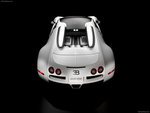 Bugatti Veyron Grand Sport 2009