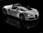 Bugatti Veyron Grand Sport 2009