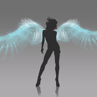Angel Silhouette