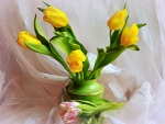 Yellow tulips