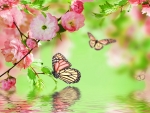 Spring background