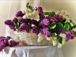 Lilac flower basket