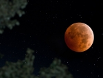Lunar Eclipse