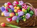 Spring basket