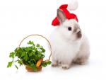 Christmas bunny
