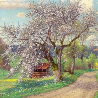Spring
