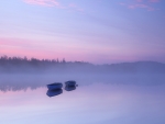 Fog on the lake