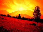 Dazzling Sun Over The Mountain