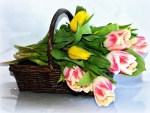 Basket with tulips