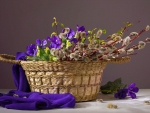 Spring basket