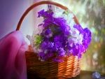 Some purple flowers in basket