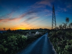 country road sunset