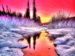 Winter Sunset ~ Dreamy Nature