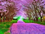 Spring Path