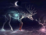 'Deer spirit'......