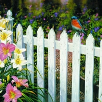 Blue Bird on the Fence