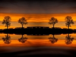 Beautiful Reflection