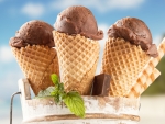 Delicious Chocolate Ice Cream