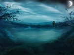 Owl in Moonlight!