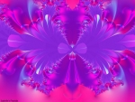 Fractals SHOW â™¥
