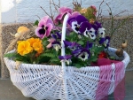 Basket of Flowers