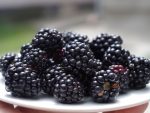 Blackberries