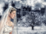 Winter Bride