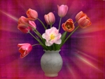 Tulips in Vase â™¥