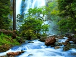 Forest waterfall
