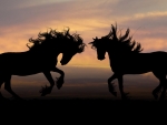 Horse Silhouettes