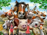 Farmyard Selfie