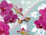 Orchids background