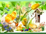Chicks and colored eggs