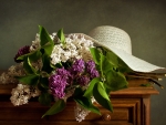 Lilacs