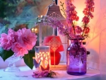 Containers and  pink flowers
