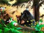 Family Bear