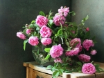 Pink roses in vase
