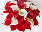 Calla Lilies Bouquet