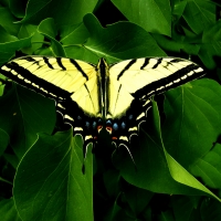 the best yet to come