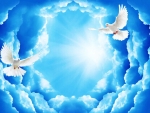 White Doves