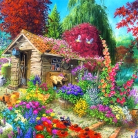 Garden Shed